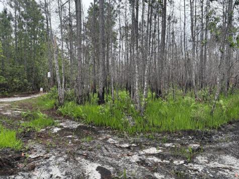 Holopaw Groves Road St. Cloud FL 34772