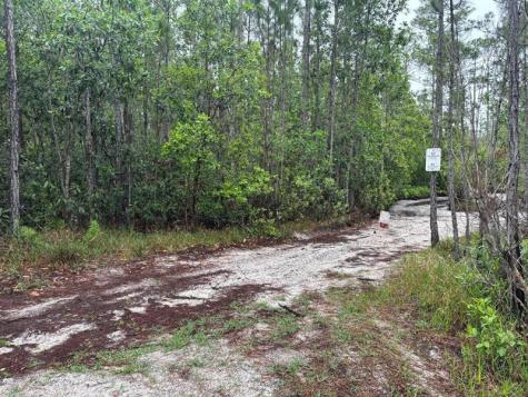 Holopaw Groves Road St. Cloud FL 34772