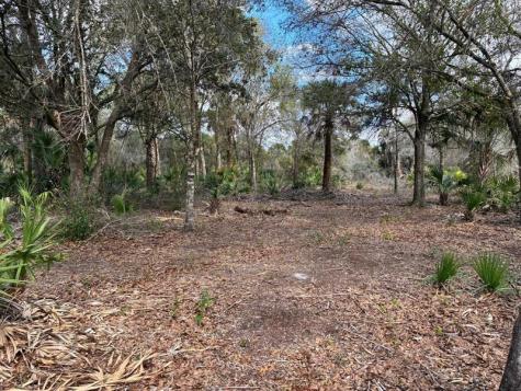 19731 NW 266th Street Okeechobee FL 34972