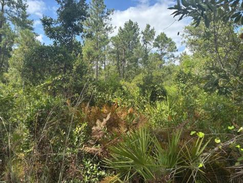 Highway 630e Frostproof FL 33843