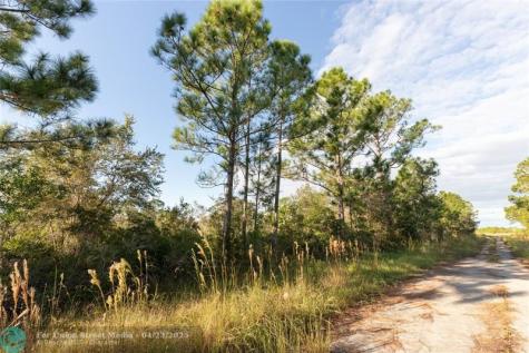 754 American Street NW Lake Placid FL 33852