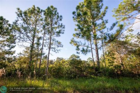 754 American Street NW Lake Placid FL 33852