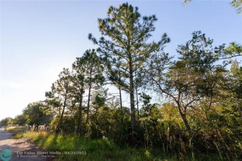 754 American Street NW Lake Placid FL 33852