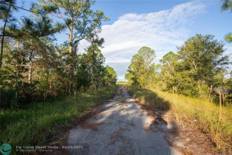 754 American Street NW Lake Placid FL 33852