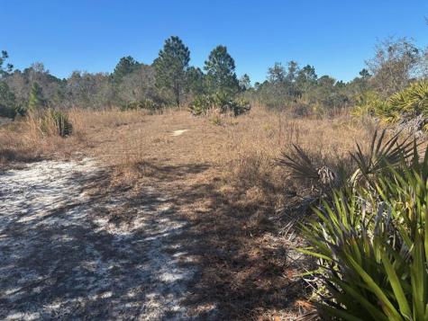 Xeriscape Nursery Road Frostproof FL 33898