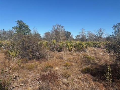 Xeriscape Nursery Road Frostproof FL 33898