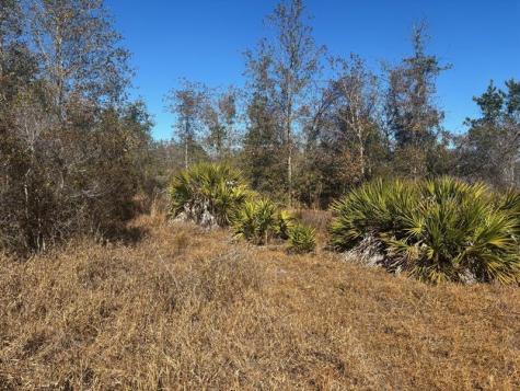 Xeriscape Nursery Road Frostproof FL 33898