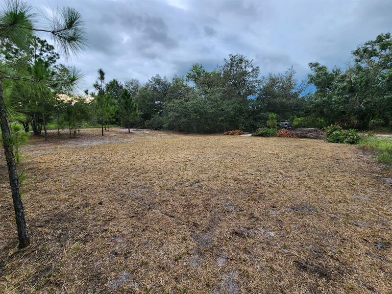 2925 W Bandra Road Avon Park FL 33825