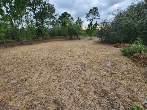 2925 W Bandra Road Avon Park FL 33825