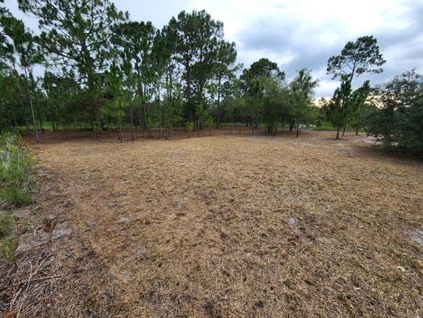 2925 W Bandra Road Avon Park FL 33825