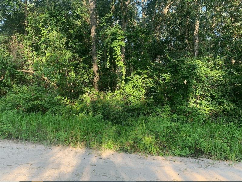 Ida Boulevard Interlachen FL 32148
