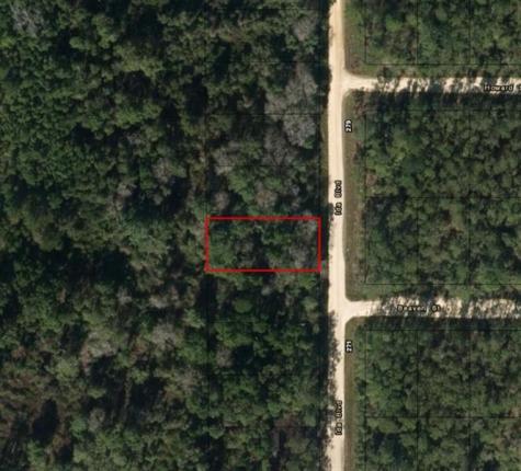 Ida Boulevard Interlachen FL 32148