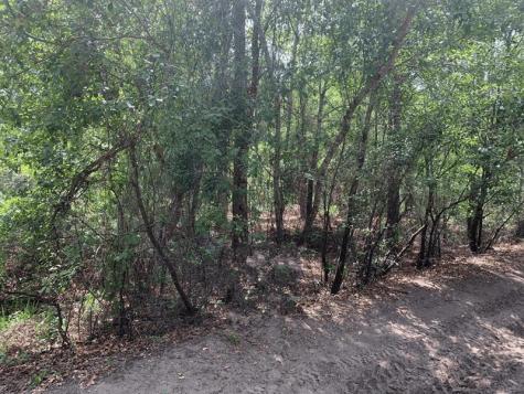 County Road 54 E Kathleen FL 33849