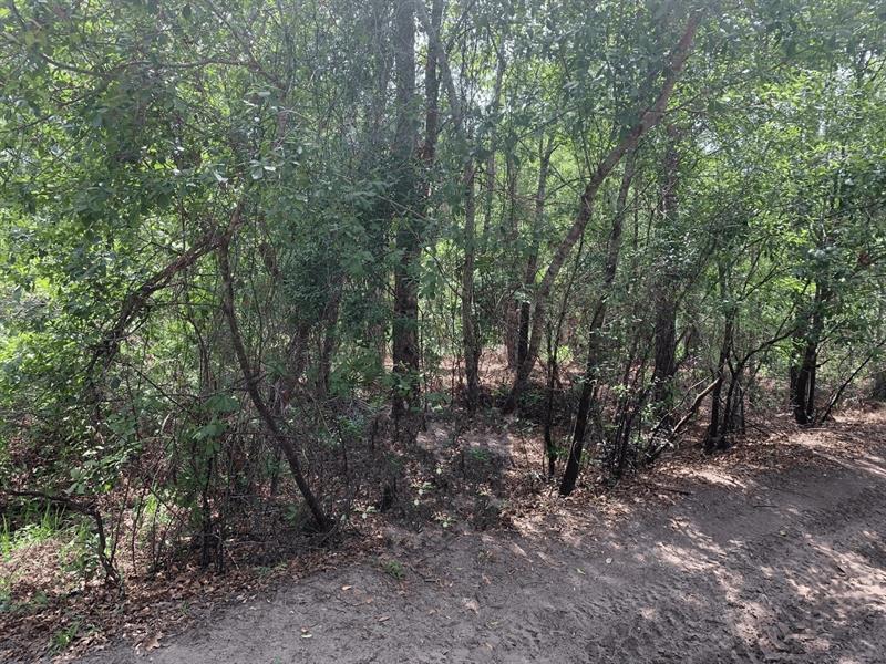 County Road 54 E Kathleen FL 33849