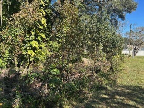 Maple Hill Court Lakeland FL 33811