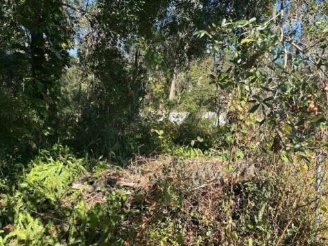 Maple Hill Court Lakeland FL 33811
