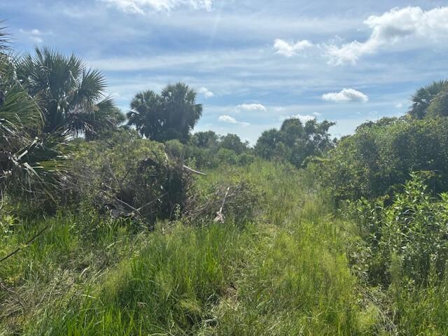 NW 312th Street Okeechobee FL 34972