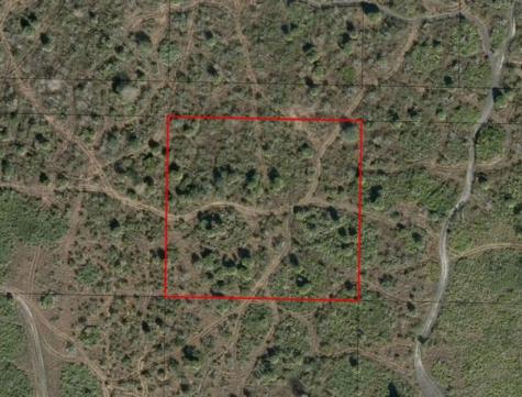NW 312th Street Okeechobee FL 34972