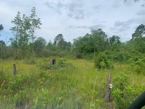 Holopaw Groves Road St. Cloud FL 34772