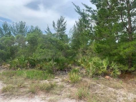 Holopaw Groves Road St. Cloud FL 34772