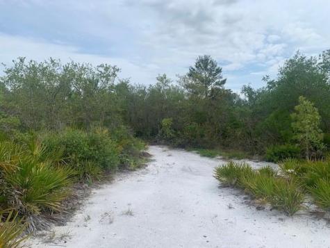 Holopaw Groves Road St. Cloud FL 34772