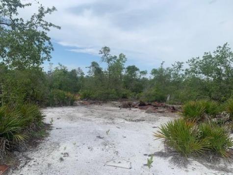 Holopaw Groves Road St. Cloud FL 34772