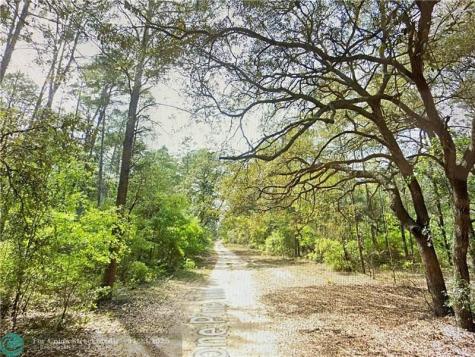 0000 Lone Pine Trail Other City - In The State Of Florida FL 32666