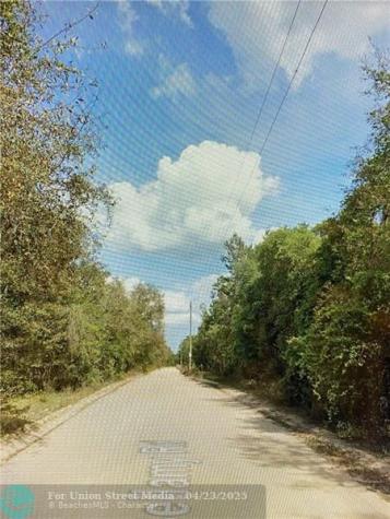 0000 Lone Pine Trail Other City - In The State Of Florida FL 32666