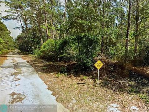0000 Lone Pine Trail Other City - In The State Of Florida FL 32666