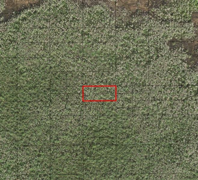 Holopaw Groves Road St. Cloud FL 34772