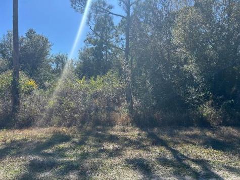 28141 SE Monte Cristo Punta Gorda FL 33955