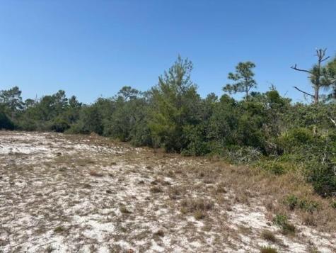314 Falcon Street Lake Placid FL 33852