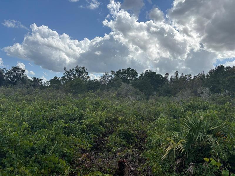 County Road 54 E Kathleen FL 33849