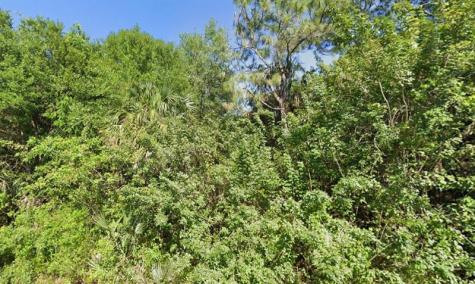 4702 Vera Avenue Lehigh Acres FL 33971