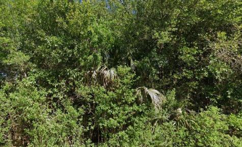 4702 Vera Avenue Lehigh Acres FL 33971