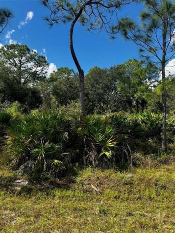 1221 Hamilton Avenue Lehigh Acres FL 33972