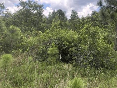 Xeriscape Nursery Road Frostproof FL 33843