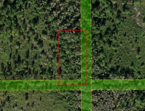 Xeriscape Nursery Road Frostproof FL 33843