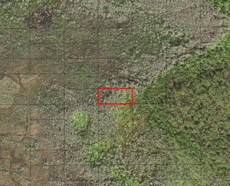 Holopaw Groves Road St. Cloud FL 34772