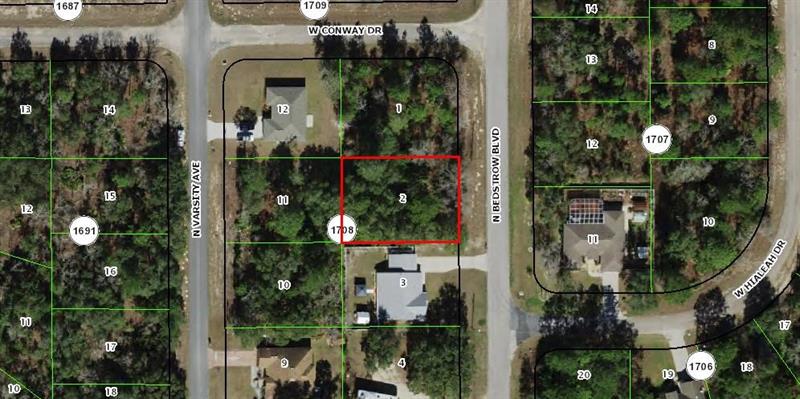 6691 N Bedstrow Boulevard Citrus Springs FL 34434