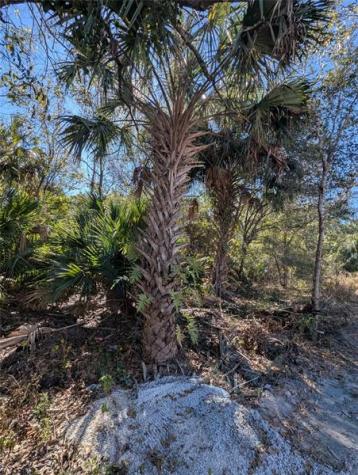 8635 96TH Vero Beach FL 32967