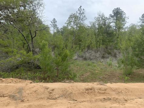 May Lane Interlachen FL 32148