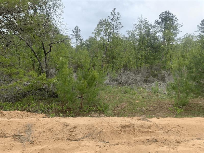 May Lane Interlachen FL 32148