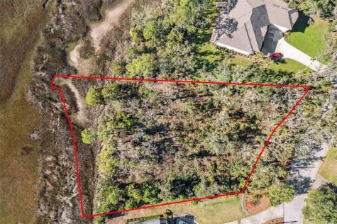 96309 Piney Island Drive Fernandina Beach FL 32034