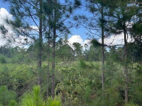 County Road 54 E Kathleen FL 33849