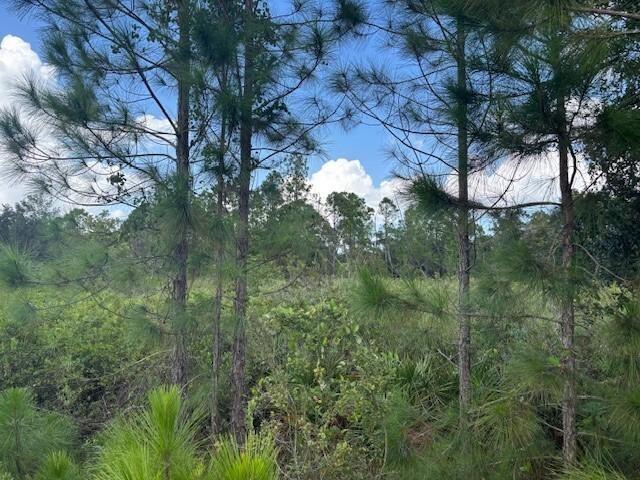 County Road 54 E Kathleen FL 33849