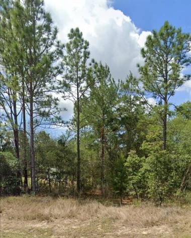3808 W Indian Rock Place Citrus Springs FL 34433