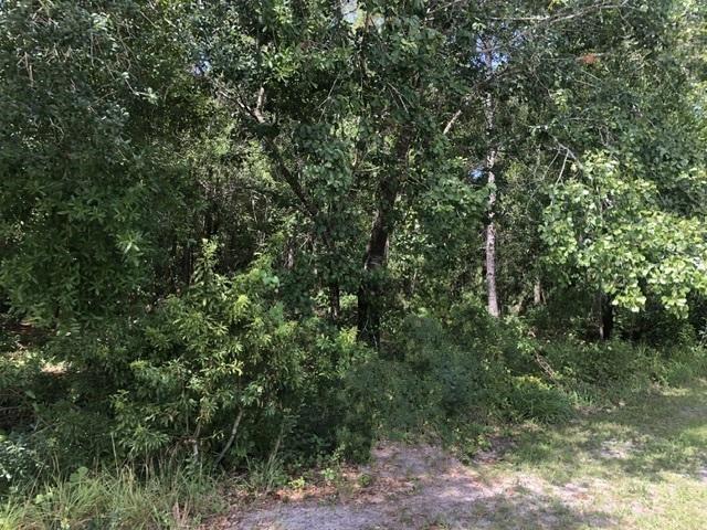 2345 N Yucca Road Avon Park FL 33825