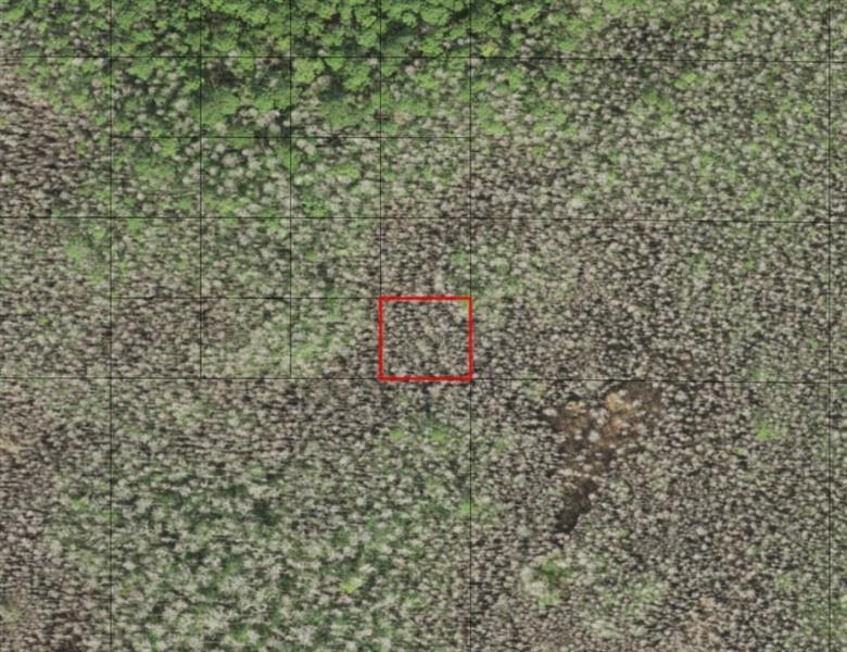 Holopaw Groves Road St. Cloud FL 34772