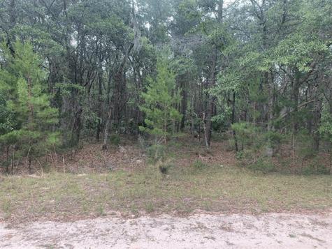 Huron Interlachen FL 32148
